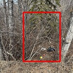 In a Park - Litter Pick Up or Overflowing Park Bins-WAM at 301 Elbow Park Ln SW