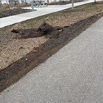 Pedestrian and Cycling Pathway - Repair at 425 Livingston Vw NE