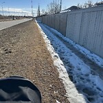 Snow On City-maintained Pathway or Sidewalk at 356 Royal Oak Ht NW