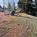 In a Park - Litter Pick Up or Overflowing Park Bins-WAM at 4565 50 St SW