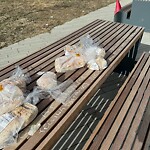 In a Park - Litter Pick Up or Overflowing Park Bins at 236 4 St NE