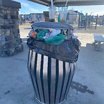 In a Park - Litter Pick Up or Overflowing Park Bins-WAM at 75 Masters Sq SE