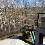 Tree Maintenance - City Owned-WAM at 46 Rock Lake Vw NW