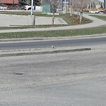 Sign on Street, Lane, Sidewalk - Repair or Replace at 11450 29 St SE