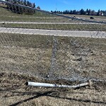 Fence Concern in a Park-WAM at 6065 John Laurie Bv NW