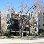 Tree Maintenance - City Owned-WAM at 3422 Parkdale Blvd NW Northwest Calgary