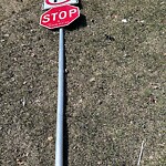 Sign on Street, Lane, Sidewalk - Repair or Replace at 127 Pinemill Rd NE
