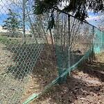 Fence or Structure Concern - City Property at 5340 17 Av SW