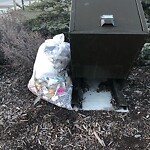In a Park - Litter Pick Up or Overflowing Park Bins-WAM at 15 Skyview Ranch Bv NE