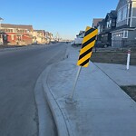 Sign on Street, Lane, Sidewalk - Repair or Replace at 163 Magnolia Mr SE