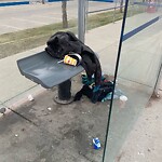 Bus Stop - Shelter Concern at 601 Stewart Gr SW