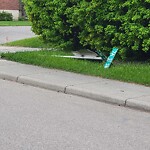 Road Signs on Street, Lane, Sidewalk - Repair or Replace at 3638 7 A St SW