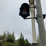 Traffic/Pedestrian Signal Repair at 9602 Harvest Hills Bv N