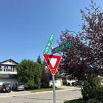 Sign on Street, Lane, Sidewalk - Repair or Replace at 175 Chapalina Ri SE
