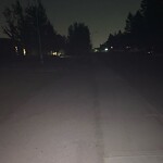 Streetlight Burnt out or Flickering at 3131 63 Av SW
