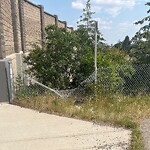 Fence or Structure Concern - City Property at 5393 Bow Tr SW