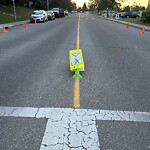 Sign on Street, Lane, Sidewalk - Repair or Replace at 7236 Silver Mead Rd NW