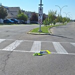 Sign on Street, Lane, Sidewalk - Repair or Replace at 174 Bridleridge Wy SW