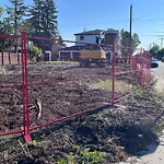 Tree Protection during Construction at 3918 30 Av SW