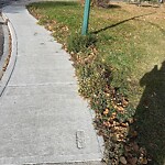 Sidewalk or Curb - Repair at 4567 Stanley Dr SW