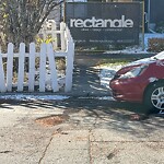 Tree Protection during Construction at 330 Scarboro Av SW