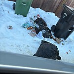 Debris on Backlane at 68 Legacy Glen St SE