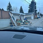 Debris on Backlane at 1131 Mayland Dr NE