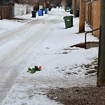 Debris on Backlane at 8203 10 St SW