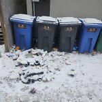 Debris on Backlane at 2715 28 Av SW