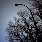 Streetlight Burnt out or Flickering at 453 34 Av NW