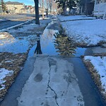 Sidewalk or Curb - Repair at 177 Taradale Dr NE