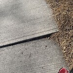 Sidewalk or Curb - Repair at 2059 33 St SE