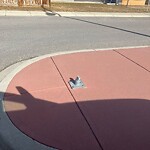 Road Signs on Street, Lane, Sidewalk - Repair or Replace at 991 73 St SW