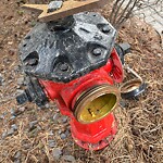 Fire Hydrant Concerns at 1242 Lansdowne Av SW