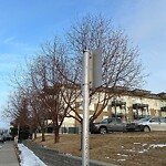 Road Signs on Street, Lane, Sidewalk - Repair or Replace at 3165 34 Av NW