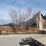 Tree Maintenance - City Owned at 703 32 St NW