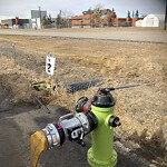 Fire Hydrant Concerns at 5921 23 Av SE