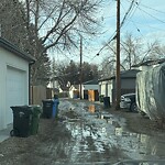 Backlane Maintenance at 1024 Rundle Cr NE