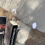 Debris on Street, Sidewalk, Boulevard at 1729 Palliser Dr SW Southwest Calgary
