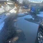 Backlane Maintenance at 2816 14 St NW