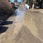 Backlane Maintenance at 923 Robert Rd NE