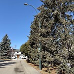 Streetlight Burnt out or Flickering at 1320 Killearn Av SW