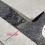 Sidewalk or Curb - Repair at 199 Smith St NW
