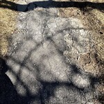 Sidewalk or Curb - Repair at 507 9 A St NE