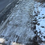 Snow On City Road at 6197 Crowchild Tr SW