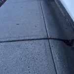Sidewalk or Curb - Repair at 291 Bridlewood Ci SW
