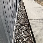 Sidewalk or Curb - Repair at 150 Somervale Pt SW