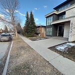 Tree Maintenance - City Owned at 2213 7 Av Nw, Calgary, Ab T2 N0 Z9