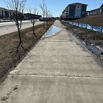 Sidewalk or Curb - Repair at 797 Cornerstone Bv NE