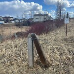 Fence or Structure Concern - City Property at 43 Royal Birch Mr NW